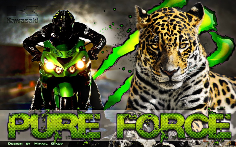 race, sportsbike, leopard, 1080P, kawasaki, force, background, pure