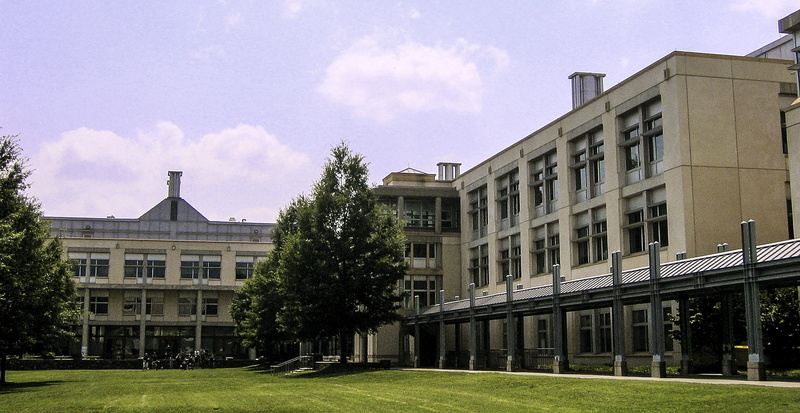 university, Duke University, United States, architecture And Buildings, lawn, apartment, tree, plant, buildings, residential district, public domain, school