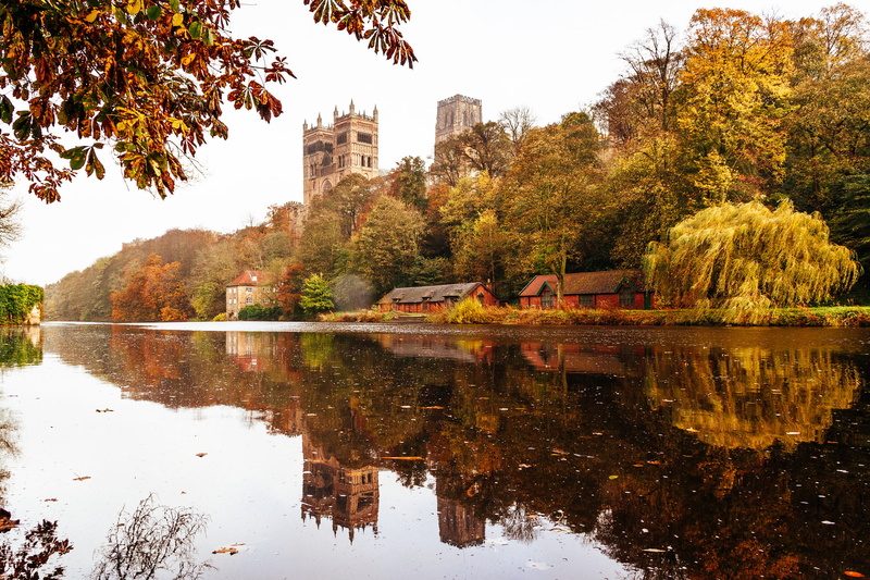 Durham, 1080P, mirror, Durham Cathedral, trees, reflection, The river wear, England