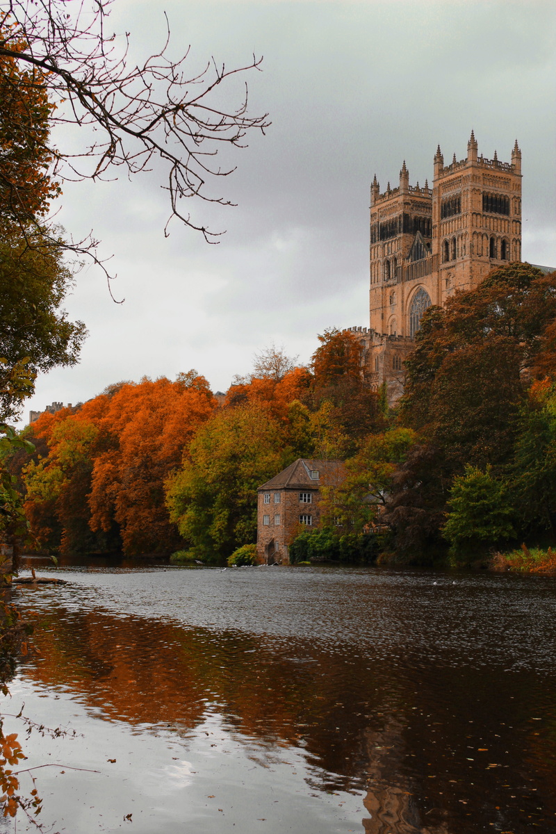 history, autumn, England, building, reflection, 5K, the past, building exterior, nature, tree, Durham, cathedral, water, plant, sky, durham, built structure