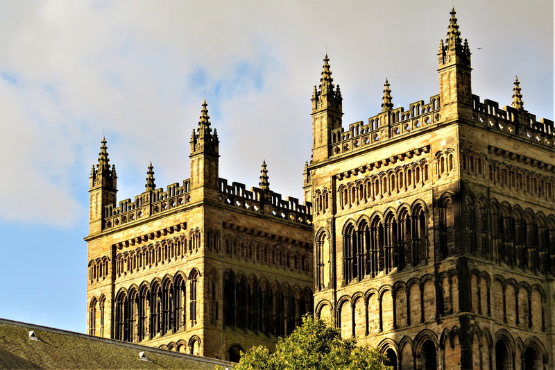 built structure, durham, interior, historically, building exterior, spire, government, outdoors, city, plant, architecture, cathedral, cloud - sky, nature