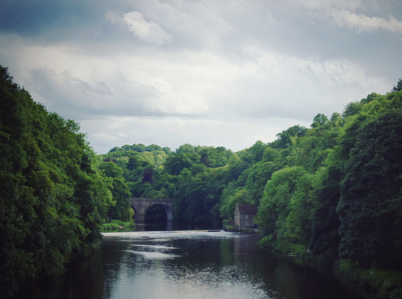 clouded, water, waterfront, England, plant, sun, scenics - nature, River, no people, architecture, trees, Woods, 4K, outdoors, Sunshine, non-urban scene