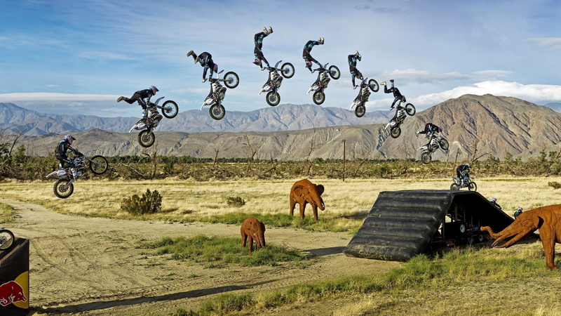 extreme, motocross, motorcycle, stop, jump, stunt, elephants, 1080P, action, sports, bike, elephant
