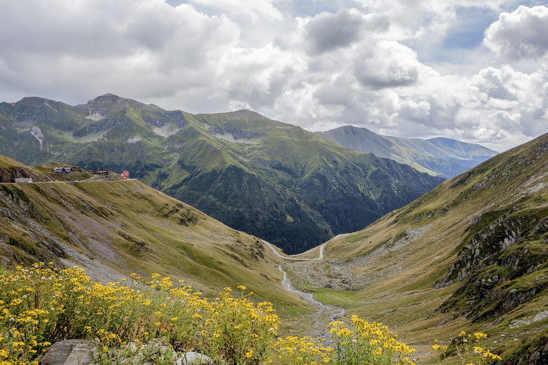 outdoors, tranquil scene, plant, cloud - sky, carpathians, mountain, travel, scenics - nature, valley, european, mountain range, romania, land, 2K, flowers