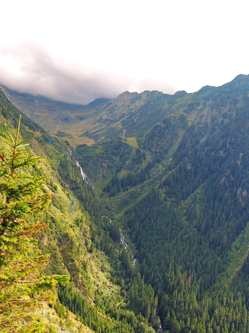 beauty in nature, scenics, transfagarasan, non-urban scene, green color, land, 4K, scenics - nature, tranquil scene, nature, outdoors, valley, plant, forest