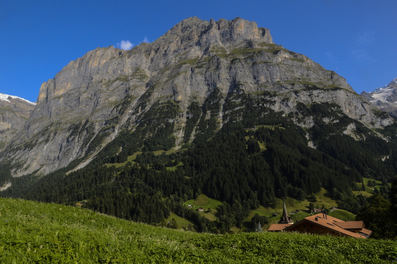 no people, alpine, non-urban scene, adventure, switzerland, kleine scheidegg, north wall, pine tree, hiking, panorama, mountain range, berner, bernese oberland