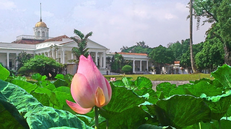 Bogor Palace, Palaces, 1080P
