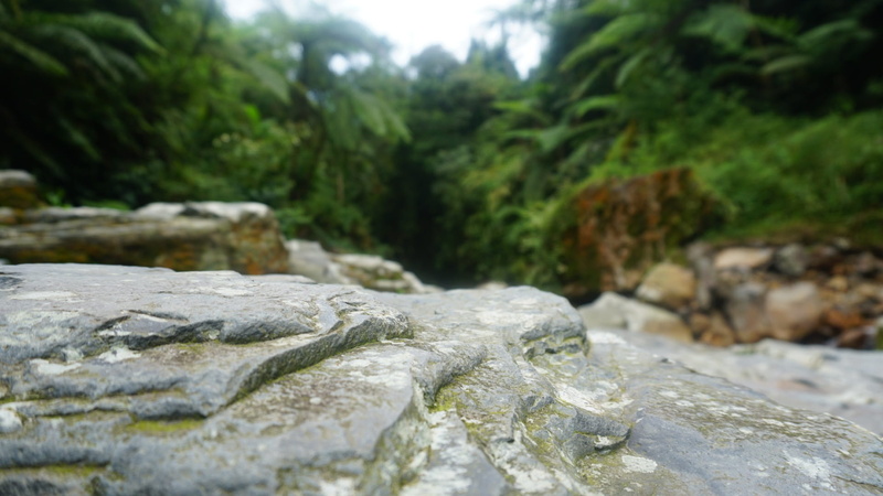 nature, indonesian, forest, 1080P, rock, flowing water, beauty in nature, tree, focus on foreground, stream - flowing water, no people, flowing, land