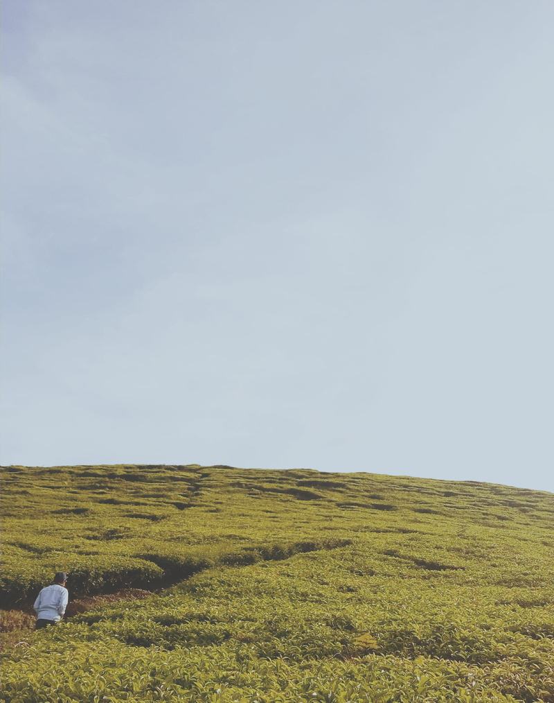 indonesia, grass, no people, tranquility, rural scene, sky, outdoors, copy space, scenics - nature, clear sky, landscape, field, beauty in nature, environment