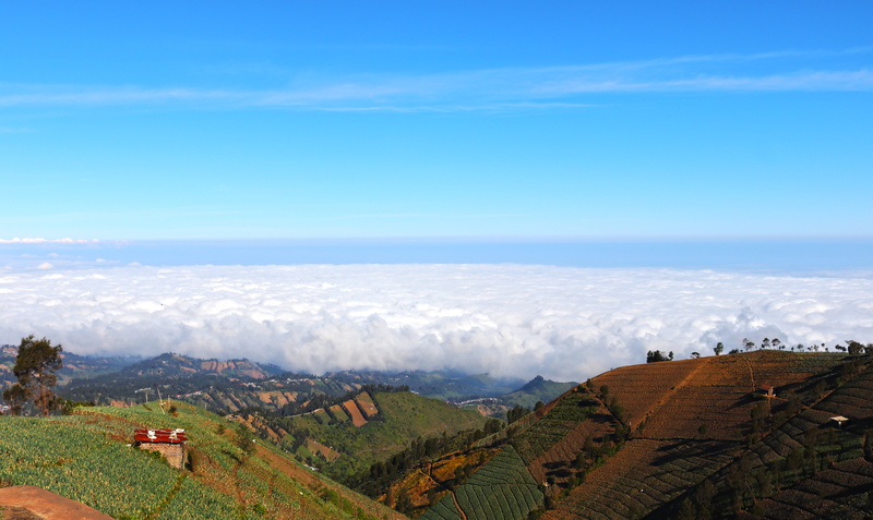 land, plant, cloud - sky, scenics - nature, mountains, hills, cloud, tranquil scene, high angle view, nature, sky, tree, blue, 5K, no people, environment