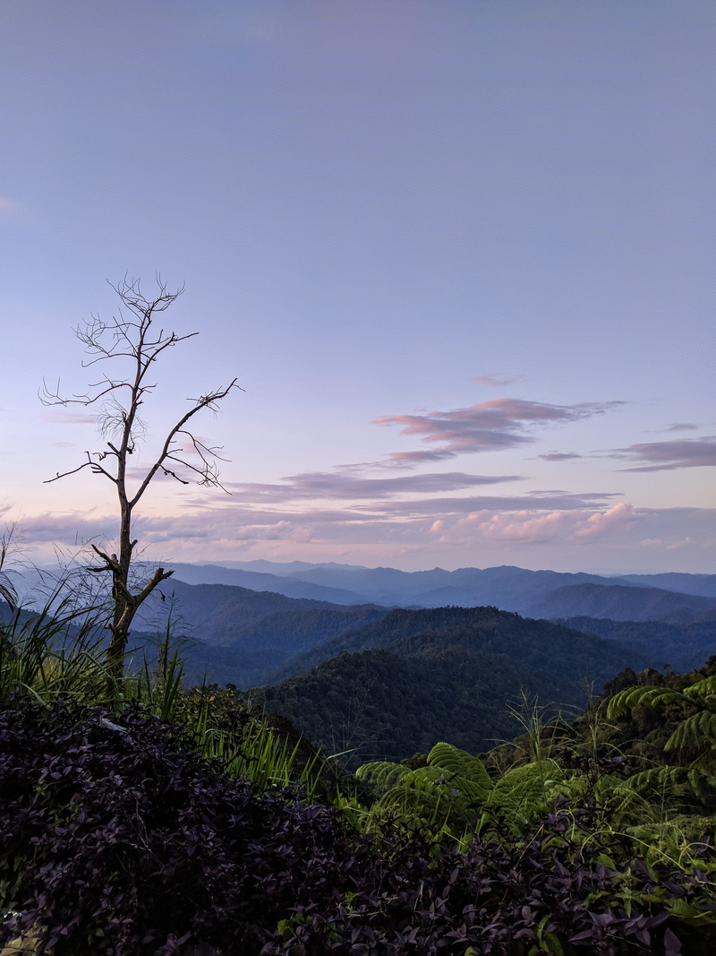 tranquil scene, cloud - sky, plant, tree, nature, puncak, malaysia, remote, scenics - nature, sky, mountain, 4K, landscape, tranquility, titiwangsa, forest