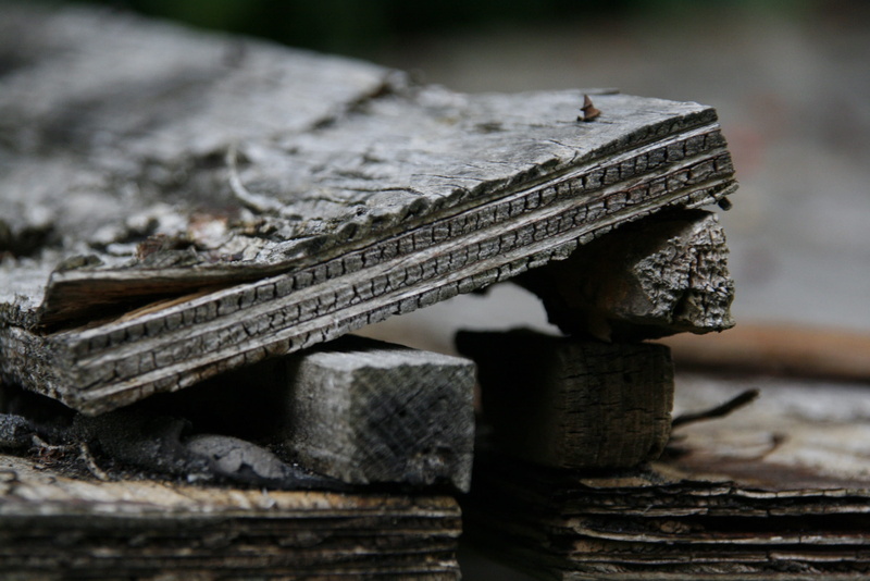 rotten wood, wood, focus on foreground, rot, wood - material, morsch, wheel, obsolete, run-down, rots, fragmented, 2K, log, no people, timber, nature