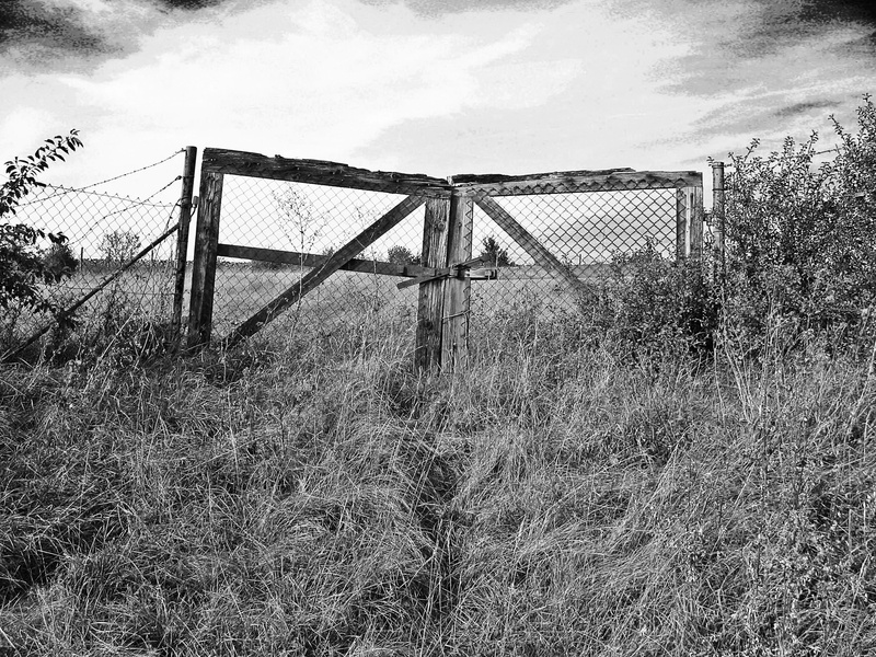 no people, white, fence, security, field, morsch, wooden boards, sky, nature, outdoors, decay, rust, land, cloud - sky, plant, barrier, barbed wire, padlock