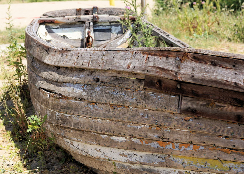 damaged, morsch, deterioration, ruined, wheel, metal, old, decline, tree, wreck, nature, nautical vessel, rusty, obsolete, land, boot, mode of transportation
