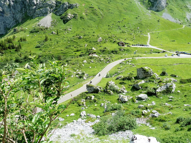 mountain, nature, rural scene, tranquil scene, summer, susten pass, plant, idyllic, Sunny, water, road, tree, swiss, high angle view, Switzerland, non-urban scene