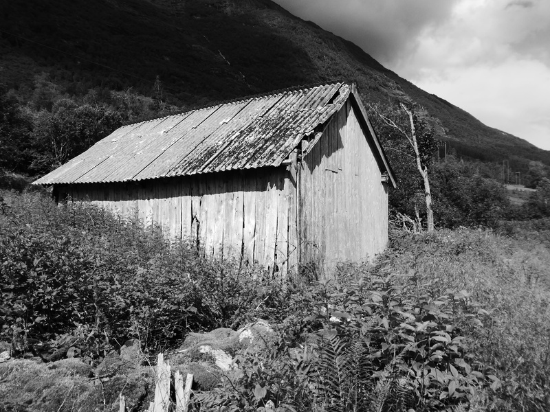 architecture, field, nature, day, rural scene, building exterior, outdoors, barn, olden, landscape, land, plant, sky, cloud - sky, no people, built structure