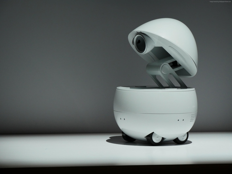 technology, CES 2017, still life, copy space, equipment, desk, home robot, table, single object, one animal, 1080P, close-up, gray background, indoors