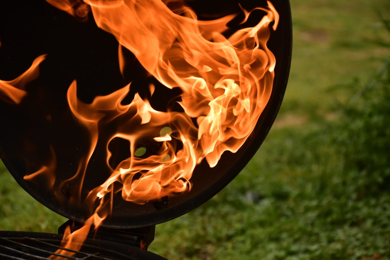 orange color, day, furniture, focus on foreground, motion, beak, fire, heat - temperature, pet, bbq, campfire, grass, blurred motion, chair, animal, fire - natural phenomenon