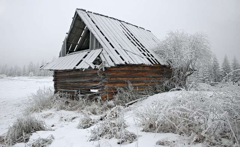 covered, outdoors, wood - material, crash, agricultural building, house, environment, nature, built structure, snowing, brown, landscape, 4K, scenics - nature