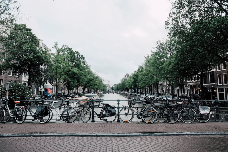 plant, stationary, mode of transportation, day, outdoors, railing, land vehicle, nature, dayime, bicycle, parked, cloud - sky, parking, water, 4K, canal