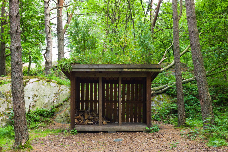 forest, beauty in nature, göteborg, trunk, nature, woodland, plant, green, tree, no people, 5K, land, green color, wood, built structure, wood - material
