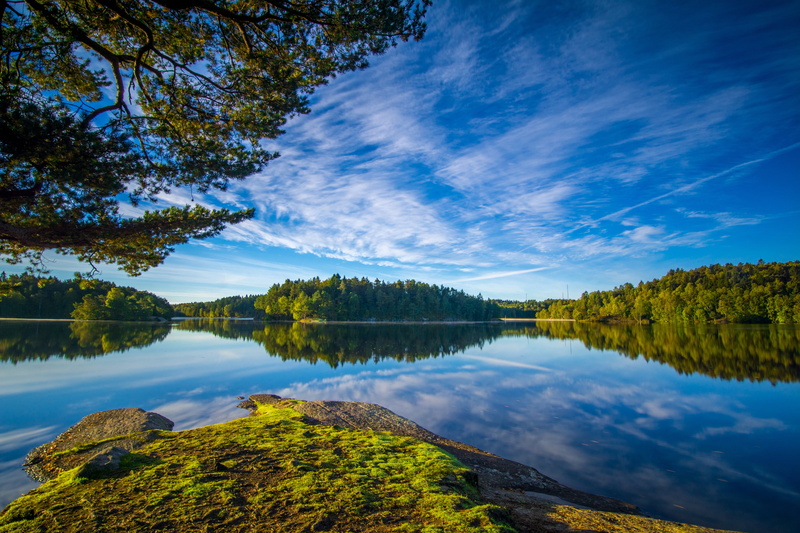 branches, Gothenburg, forest, the sky, lake, Lake Delsjön, Delsjön Lakes, 4K, Sweden