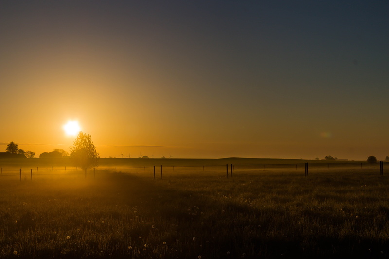 golden hour, fog, nature, misty, farm, mist, dawn, land, meadow, tranquility, brown, agriculture, countryside, hour, outdoors, golden, rural Scene, sunrise