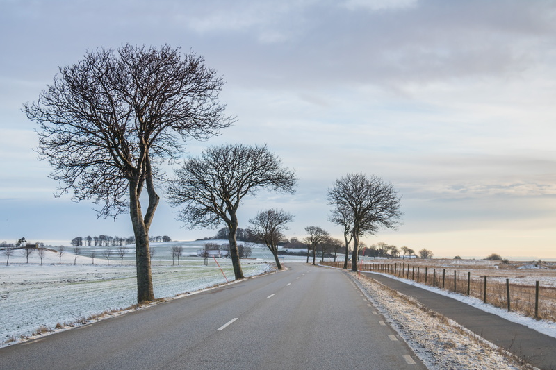 iso_speed, concrete, tree, Söderslätt, geo, ƒ / 7, vinter, f/3.5, country, trees, landscape, 5K, model, city, morgon, scenery, ef, geo:location, 35 mm