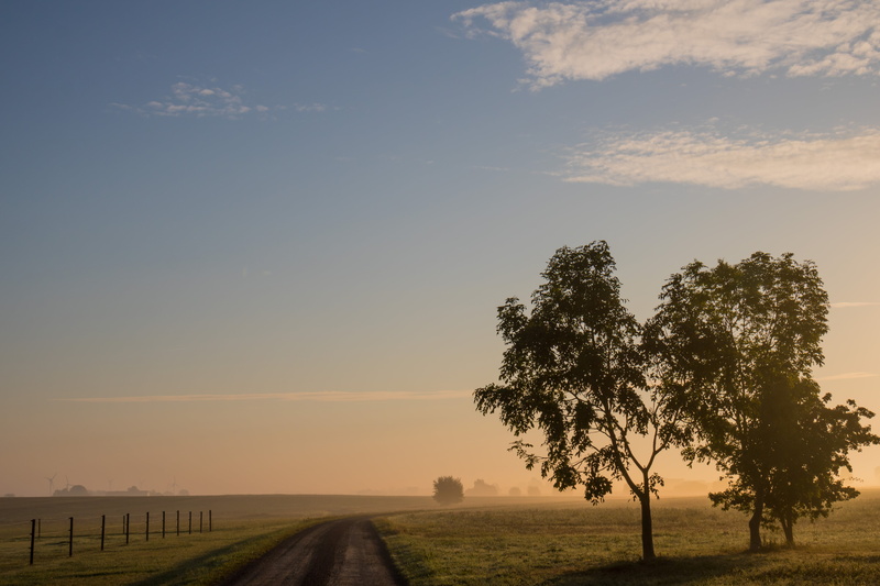 nature, fence, canon, Söderslätt, träd, 5K, iso_speed, ef, landscape, ƒ / 11, model, city, clear, sunrise, Early morning, countryside, focal_length, tree