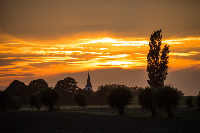 country, summer, scenics, countryside, famous Place, golden hour, sunset  tree, back Lit, canon, dawn, träd, exif, lens, s18, camera, trees, landskap, cloudy