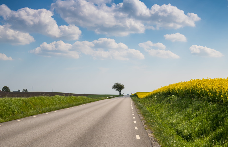 tree, cumulus clouds, 5K, grasses, meadow, landscape, summer, nature, road, landscaped, rural Scene, rape, field, fält, cumulus, clouds, green tree, farm