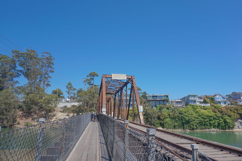 plant, beach, tree, way, railing, california, direction, santa cruz, rail transportation, built structure, eua, outdoors, architecture, nature, bridge
