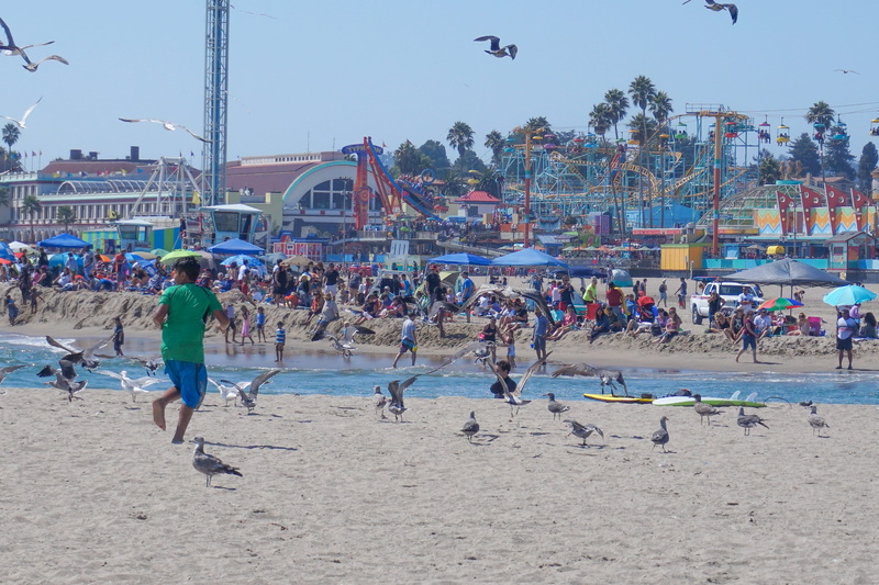 park, leisure activity, real people, enjoyment, built structure, mixed age range, group of people, birds, santacruz, outdoors, santa cruz, building exterior