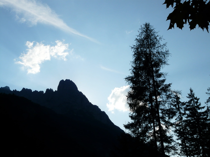 growth, no People, Lärcheck, scenics - nature, kaiserbach valley, land, 2K, laerchegg, outdoors, tree, forest, coniferous tree, mountains, sunlight, tranquility
