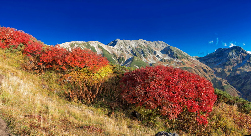 hill, beauty In Nature, tranquil scene, no people, tateyama, Landscape, national park, tranquility, outdoors, semi-arid, mountain Range, tree, non-urban scene