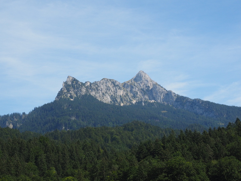 high, 4K, sky, landscape, no people, mountain, forest, alpine, idyllic, mountain range, limestone alps, green color, plant, tranquility, environment, mountain peak