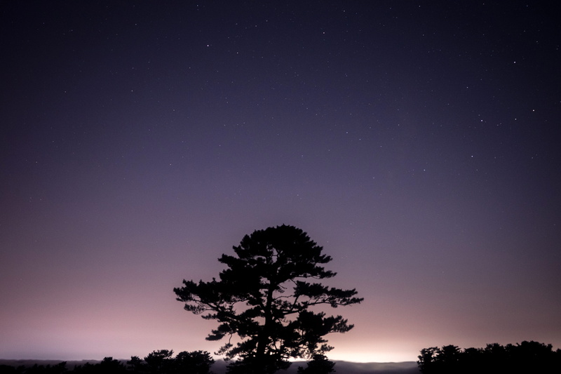 star - Space, night, peaceful, silhouette, dusk, sunset, idyllic, space and astronomy, scenics - nature, outdoors, stars, low angle view, astronomy, night sky