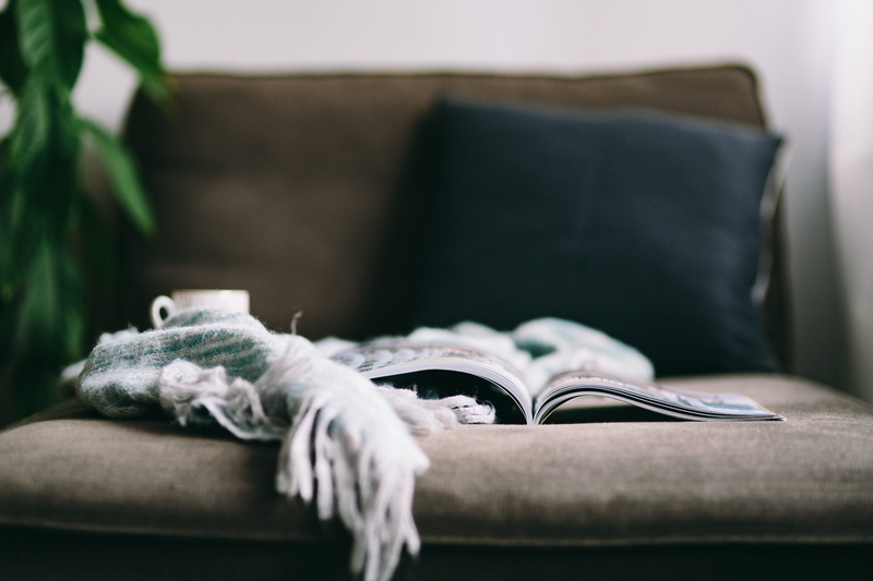 home Interior, relax, lying down, comfortable, no People, indoors, book, chaise longue, 5K, reptile, relaxation, interior, bed, furniture, ikea chaise longue