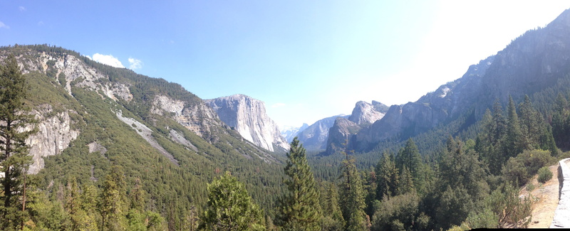 united states, tranquil scene, panoramic, outdoors, non-urban scene, land, sky, scenics - nature, coniferous tree, landscape, beauty in nature, day, green color