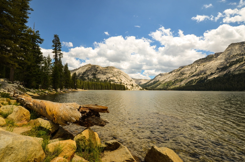 sunny, brown, scenics, no people, outdoors, animal themes, tioga road, scenics - nature, beauty in nature, clouds, mammal, rock, rock - Object, river, yosemite national park