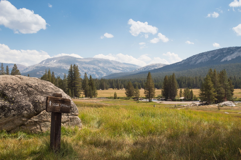 united states, field, trees, meadow, day, cloud - sky, sky, non-urban scene, idyllic, tranquility, outdoors, mountain peak, environment, mountain, plant