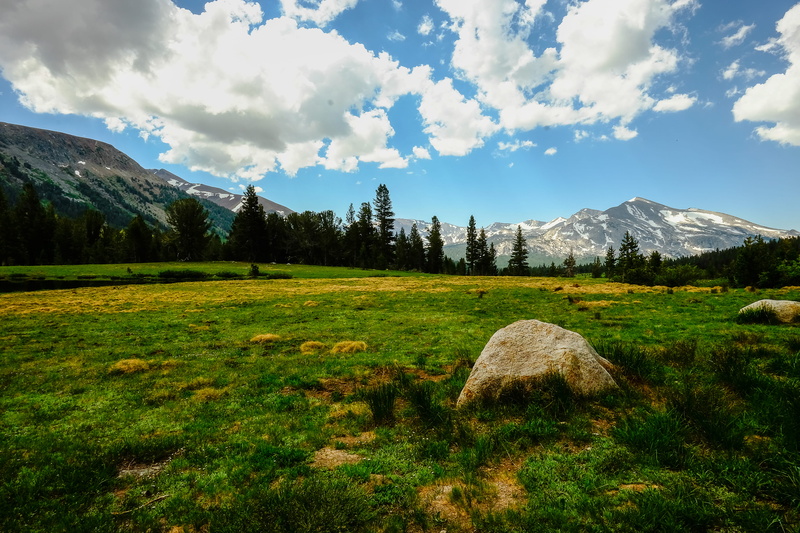 land, mountains, tree, beauty in nature, yosemite national park, environment, tranquility, 4K, non-urban scene, sky, green color, snowcapped mountain