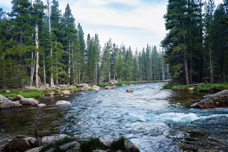 tuolumne meadows, nature, flowing, united states, outdoors, water, sky, rocks, growth, landscape, forest, tuolumne river, tree, scenics - nature, non-urban scene