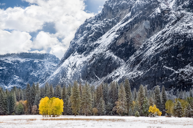 meadows, usa, autumn, winter, tuolumne, california, forest, mountain, 5K