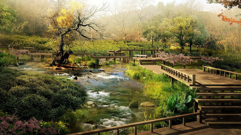 scene, reflection, forest, tranquil scene, scenery, bridge, stream - flowing water, season, spring, grass, beauty in nature, tranquility, sea, lake, environment