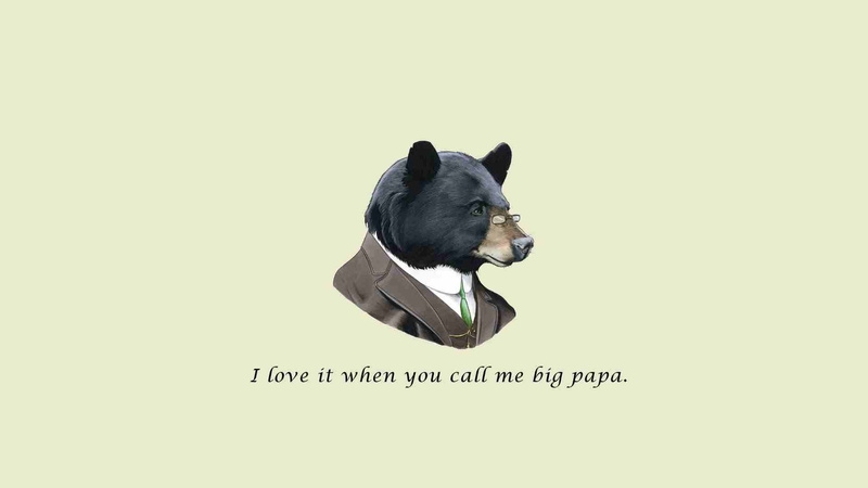 canine, head, quote, pets, western script, illustration, 1080P, indoors, fun, copy space, one animal, vertebrate, bear, man, domestic animals, dog, studio shot