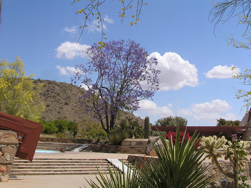 west, sunshine, animals, shantyman, 1080P, arizona, talesine