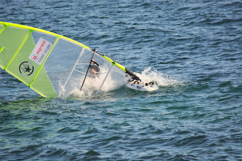 4K, mer, animal themes, waterfront, outdoors, marine, rippled, swimming, vagues, dcharger, air pur, floating on water, planche voile, sport nautique, day