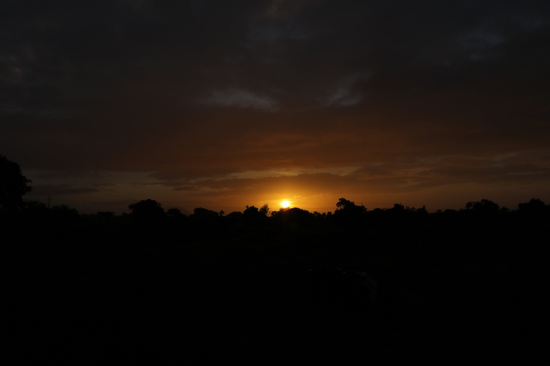 nature, landscape, cloud - sky, orange color, forest, silhouette, sun, beauty in nature, non-urban scene, plant, india, no people, dark, sky, sunrise, scenics - nature