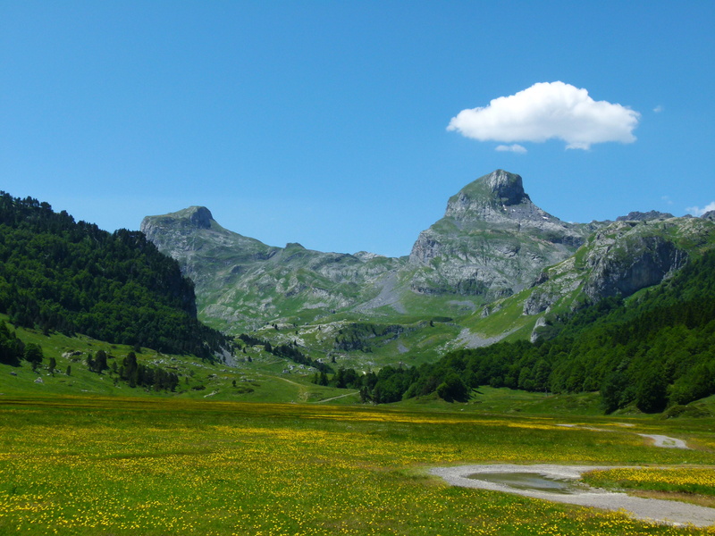 france, land, mountain, pyrénées, landscape, idyllic, no people, 4K, plant, ossau valley, tranquility, tree, mountain peak, laruns, scenics - nature, sky